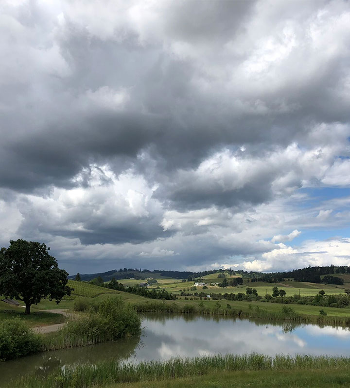 The Four Graces About Hero720x800