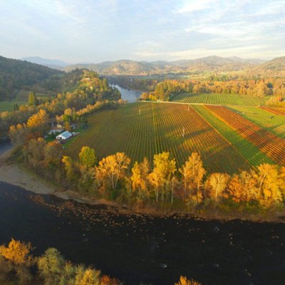 vineyards720x480