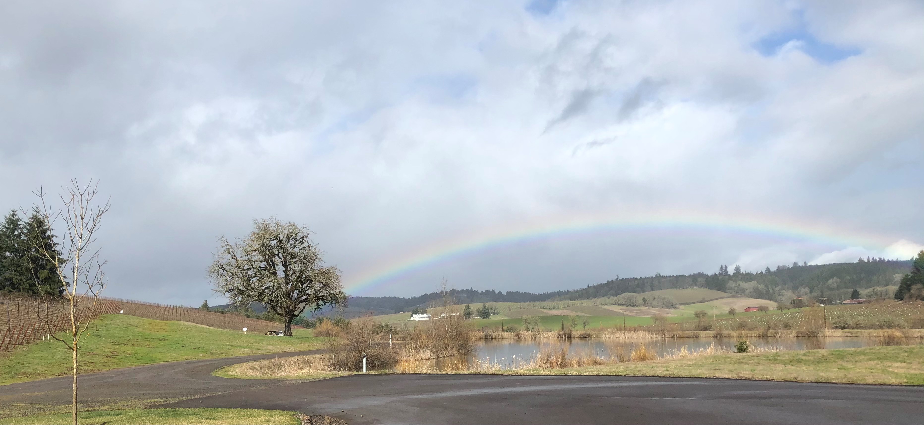 Doe Ridge rainbow 2.23.21