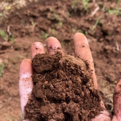 Tim holding Jory soil 5.19.22