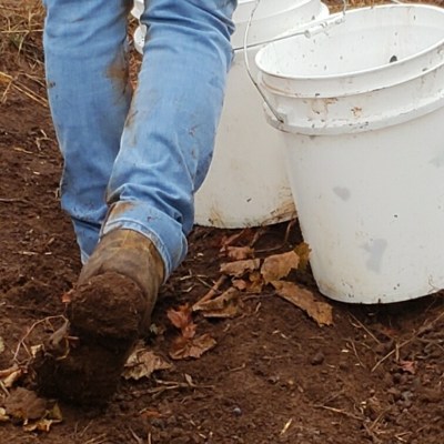 work boots