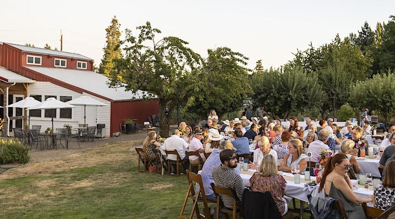 Dinner in the Field at The Four Graces Estate - The Four Graces