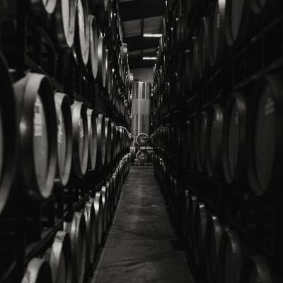 The Four Graces Winery Harvest 2023