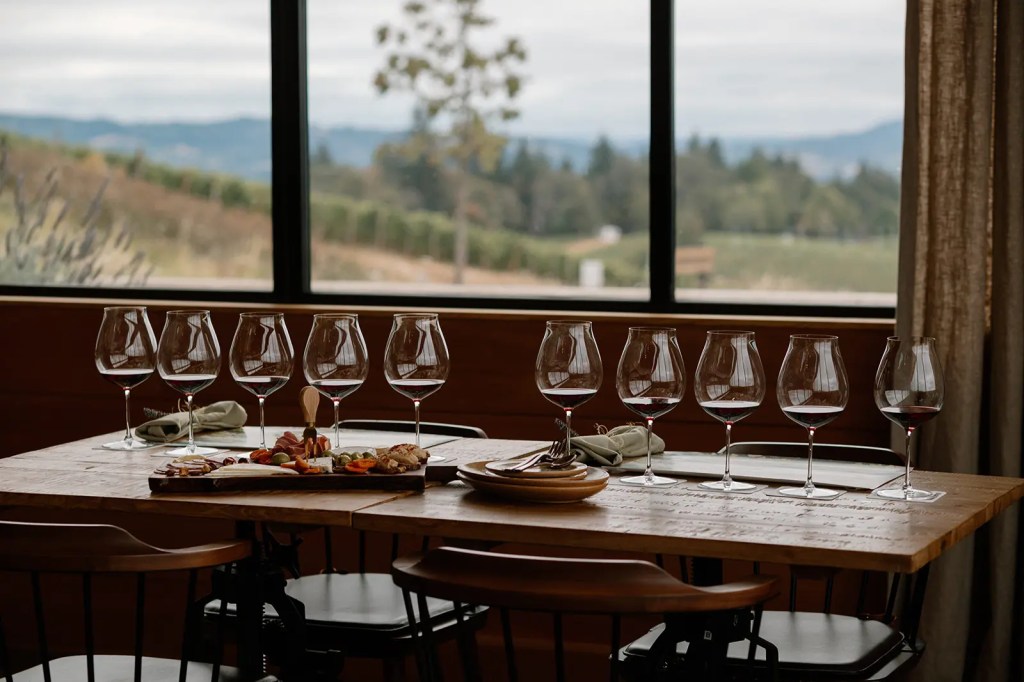 Wine tasting flight with charcuterie overlooking the surrounding vineyard landscape